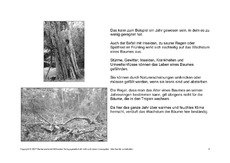 Bäume-Lesetext-SW-5.pdf